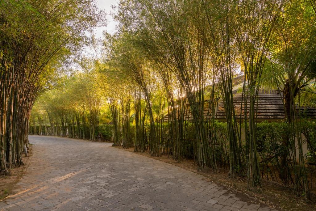 Surrounding environment