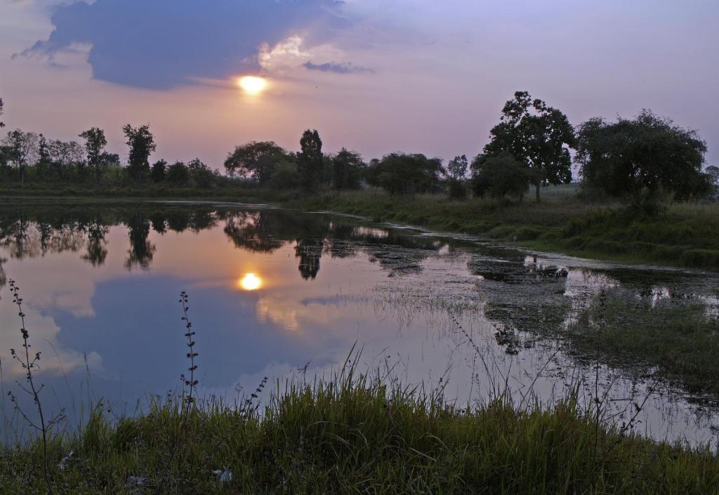 Surrounding environment, EiDI Homestay in Kalasin