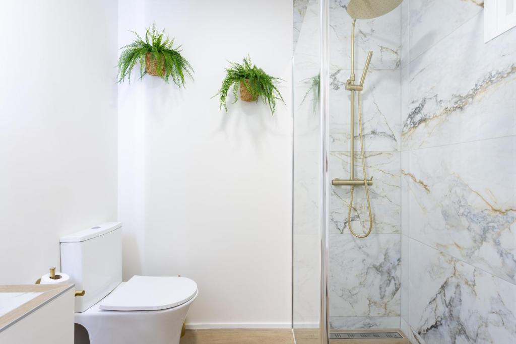 Butan Suite - 4