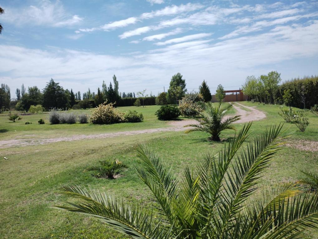 Suite independiente con parque - 4