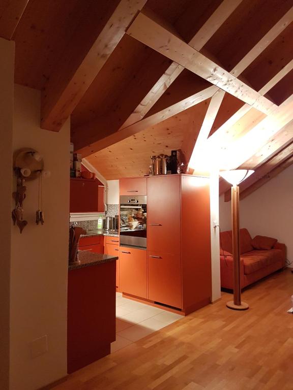 Stylish Penthouse Near Congress Center WEF - 4