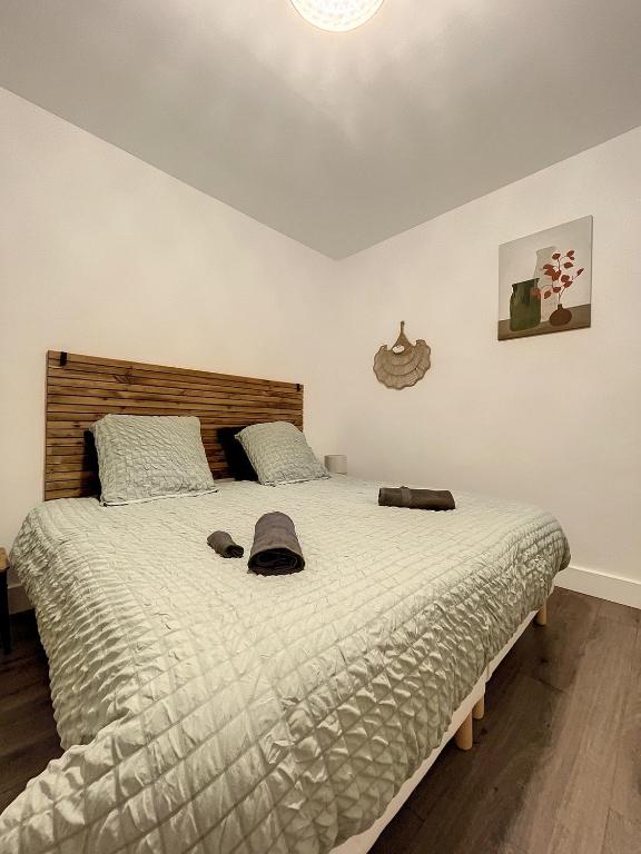 Coeur de ville, T2 cosy & élégant - 2