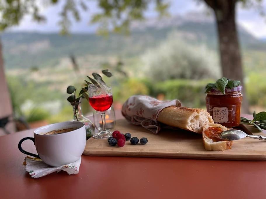 Panorama d'exception, piscine, terrain de pétanque, La Roche-sur-le-Buis