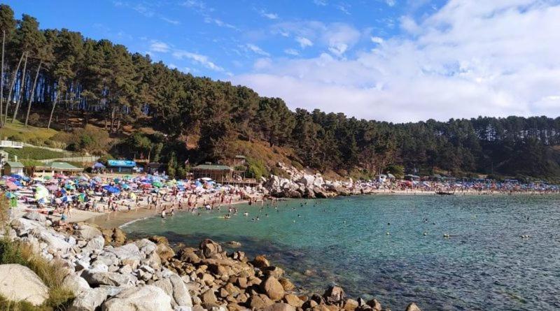 Cabañita El Canelo con Vista al Mar - 5