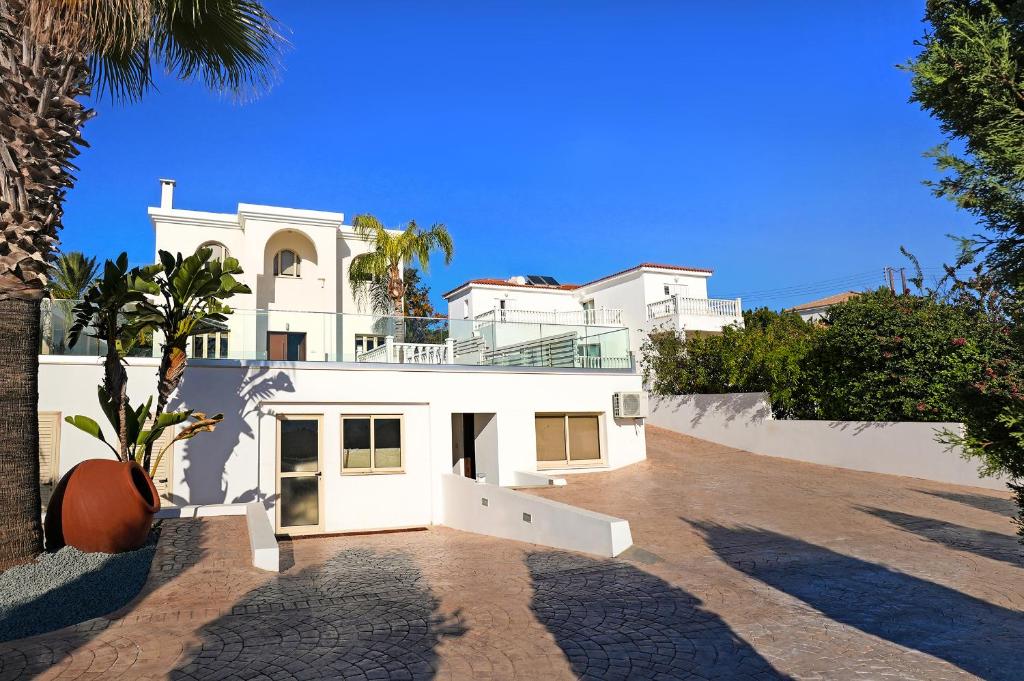 Ảnh 5