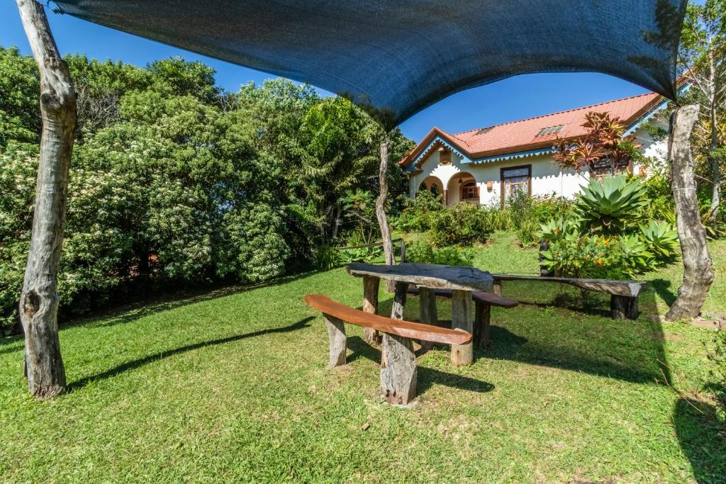 Garden, Hotel Claro de Luna in Monteverde