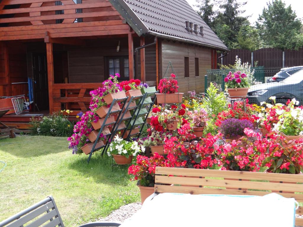 Złote Piaski Mielenko, Mielenko