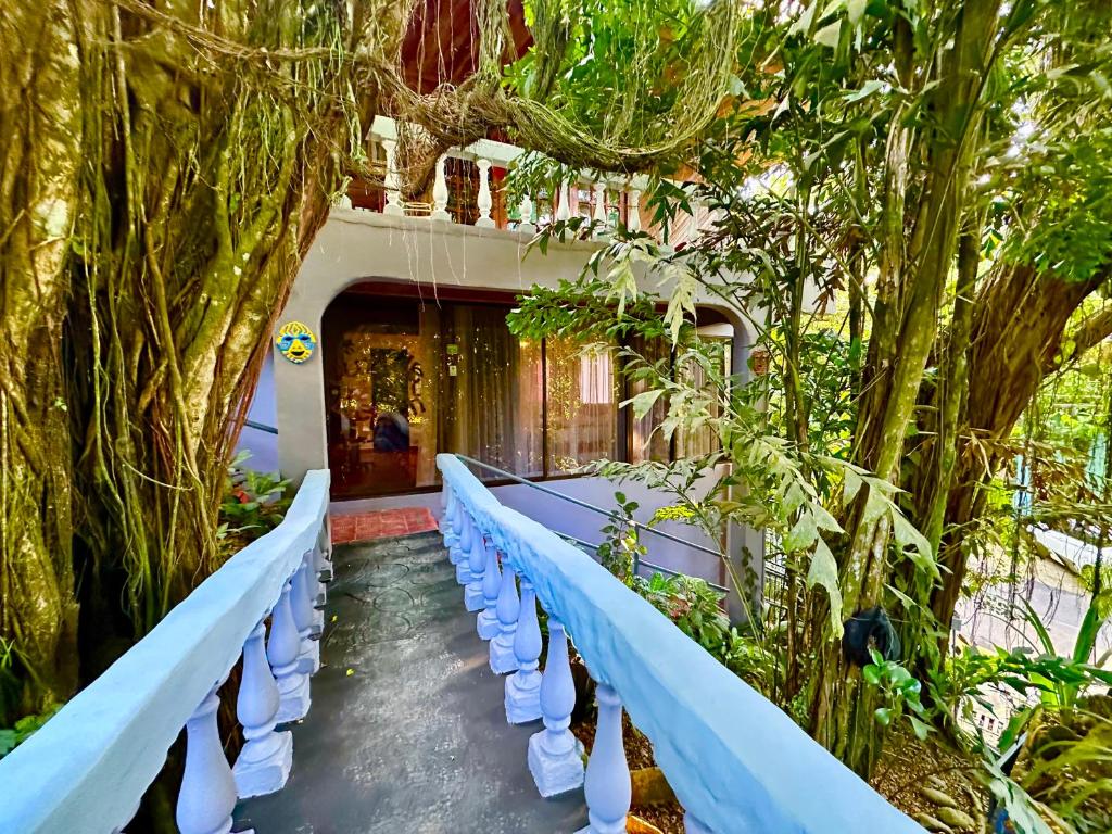 View, Jungle Beach Hotel Manuel Antonio in Quepos