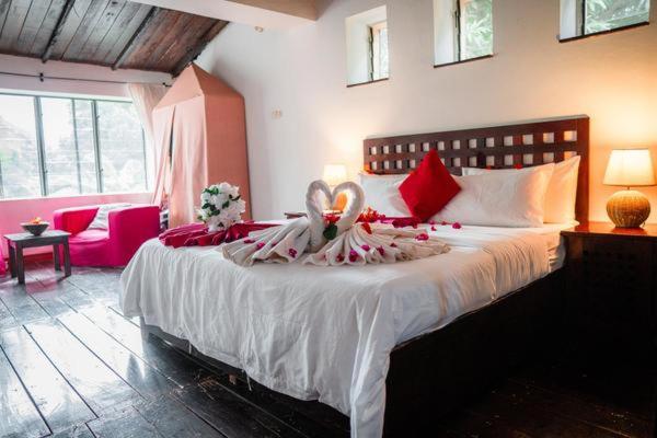 Hibiscus House Gambia