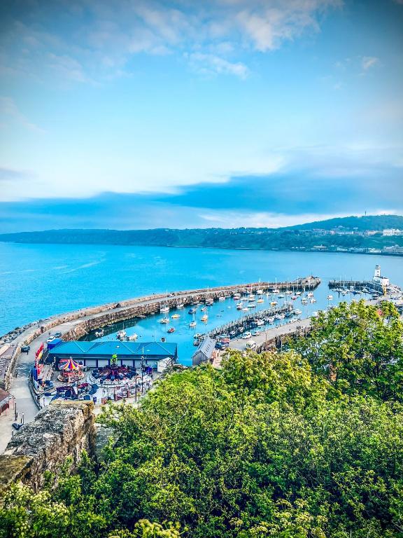 Blue shell, Scarborough