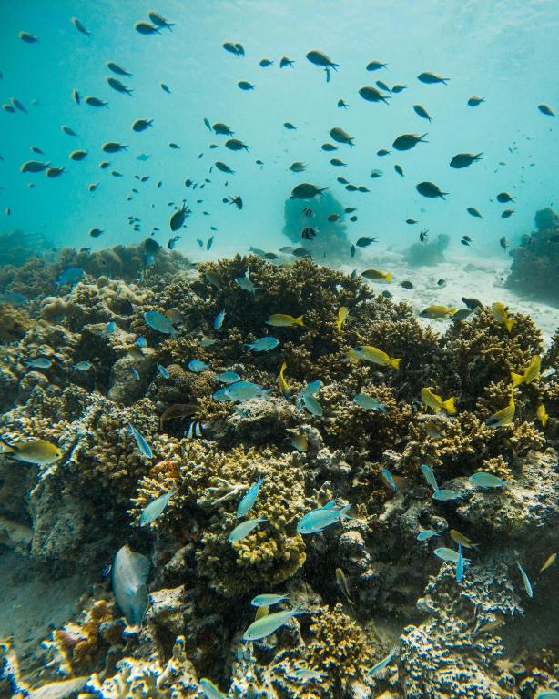 Surrounding environment