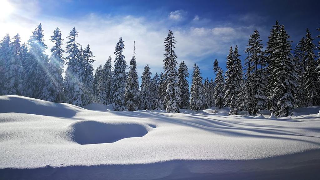 PLEINE PISTE LES SAISIES 5 Personnes - 4