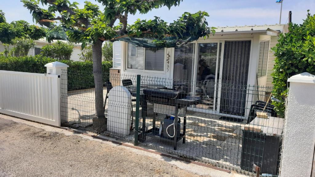 Bungalow tout confort avec accès direct à la plage - 5