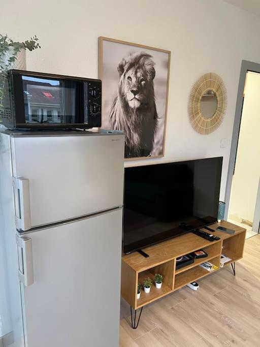 Adorable Appartement Strasbourg NEUDORF PARKING SOUS SOL - 2