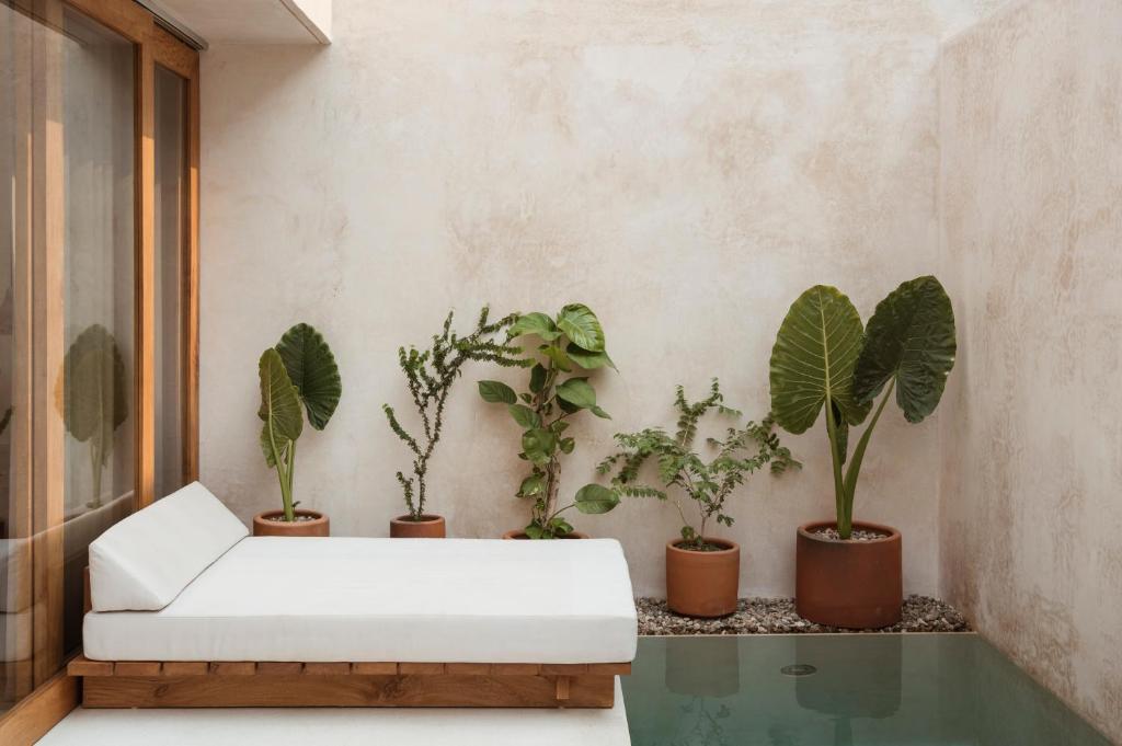 Lunaya, Puerto Escondido