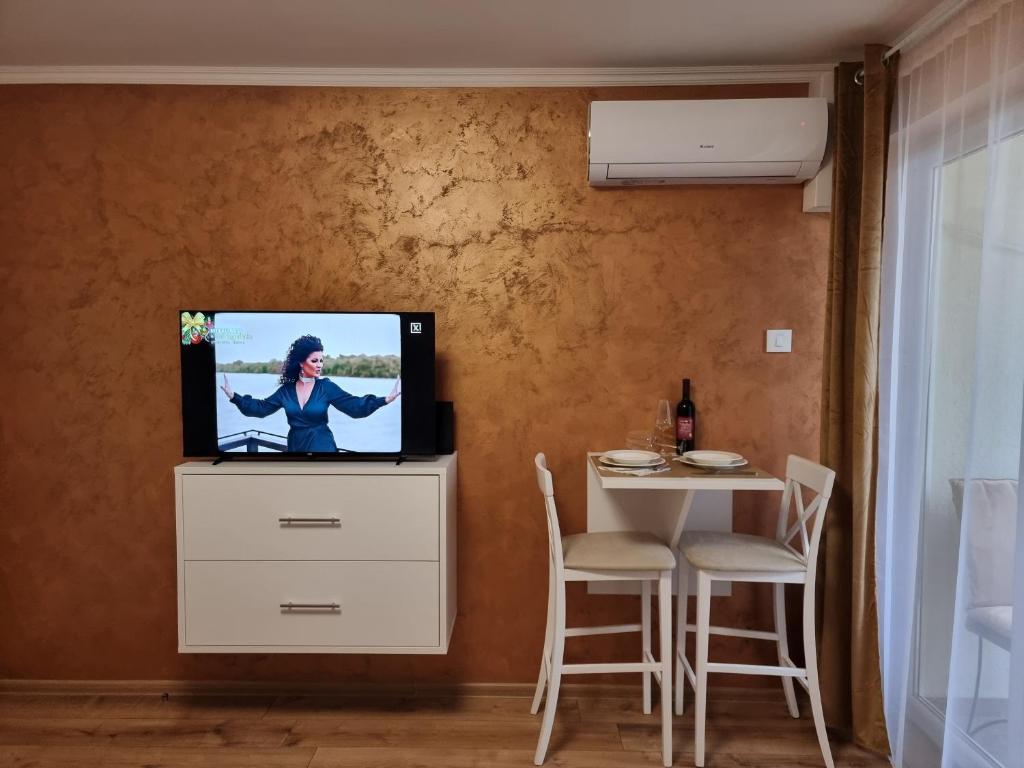 Apartman Aleksa - 3