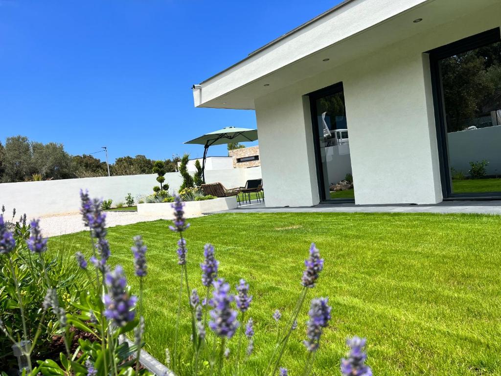 Villa Valentin 2 chambres avec piscine chauffé à Calvi - 3