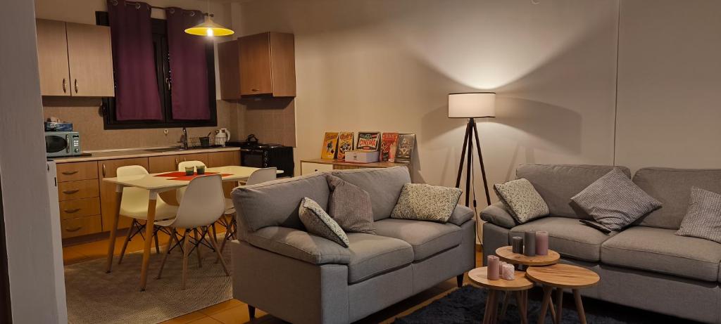 Διαμέρισμα παραποτάμια Νάουσα, Nausa