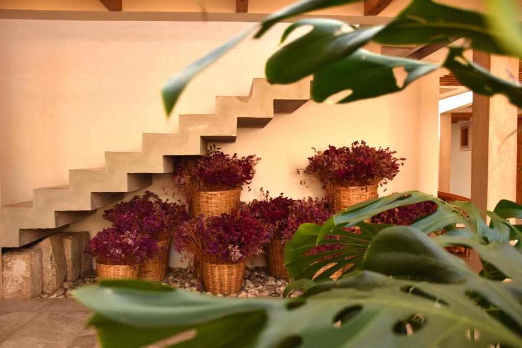 Hotel Mansion Primavera - 2