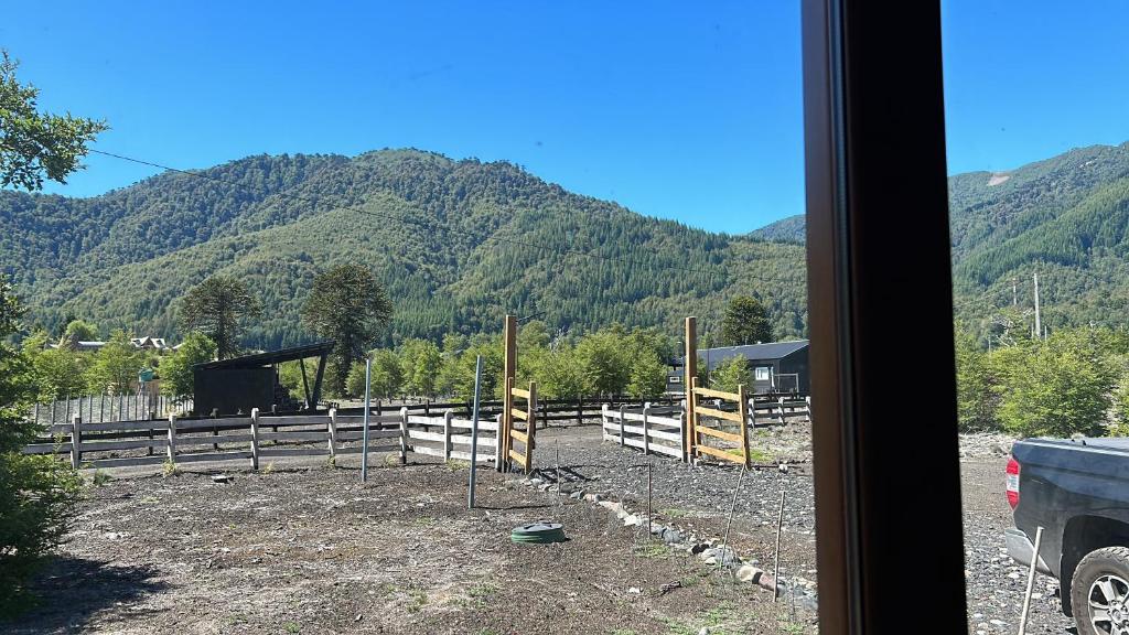 Tiny Harry Malalcahuello - 3