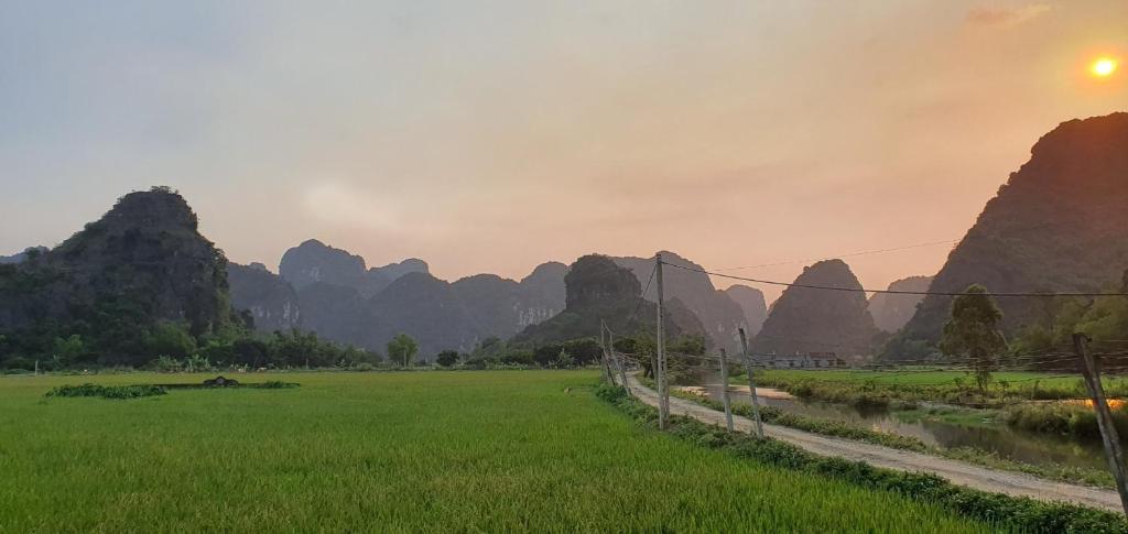 Trang an rice field homestay