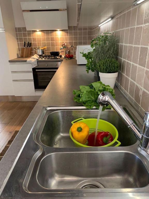 The 4 Senses Experience, Suvereto