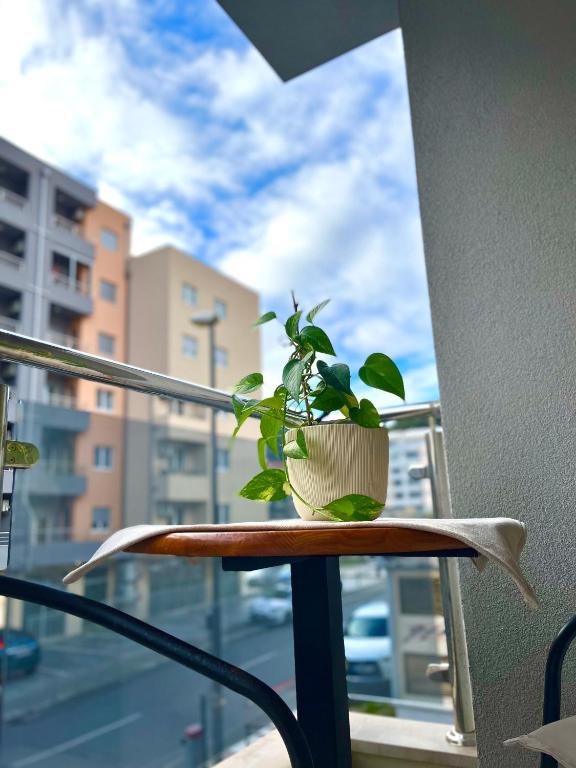 Ada apartman - 3