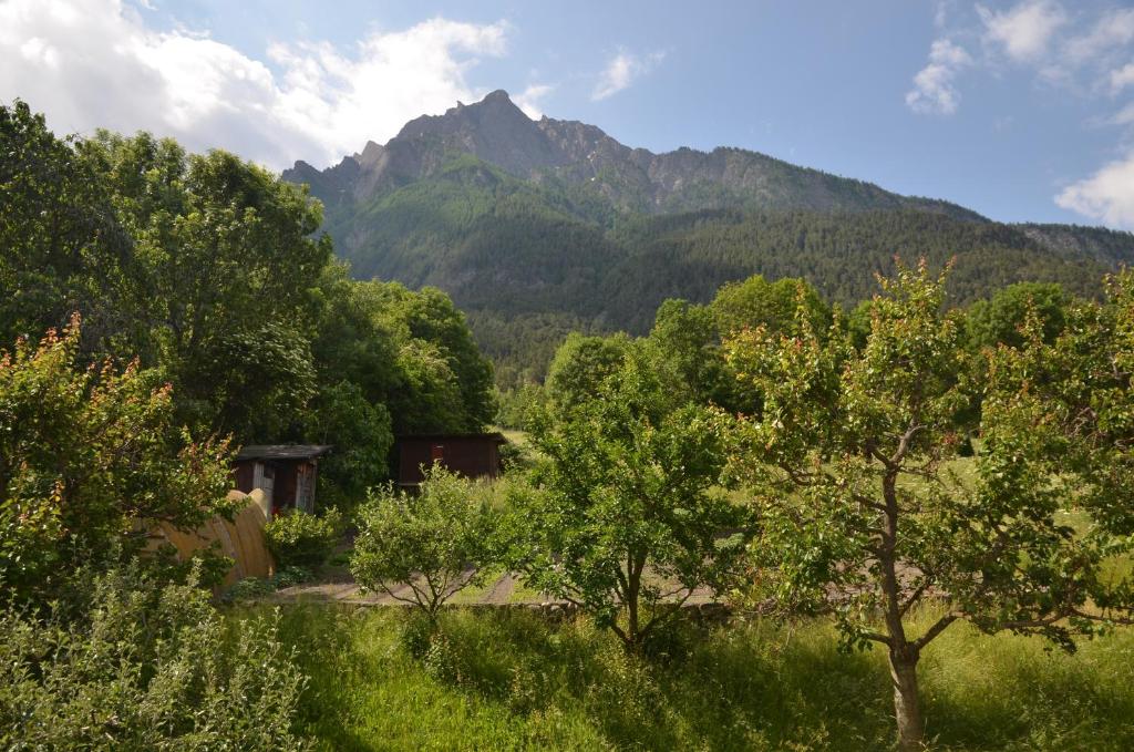 Grosse, schöne Wohnung im Grünen - 3