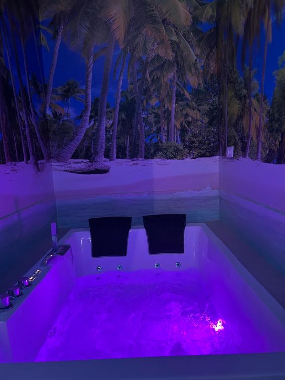 Habitacion con jacuzzi y baño privado - 4