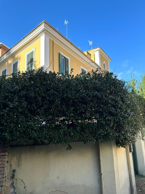 The Vatican Jungle loft con giardino vicino al Vaticano - 3
