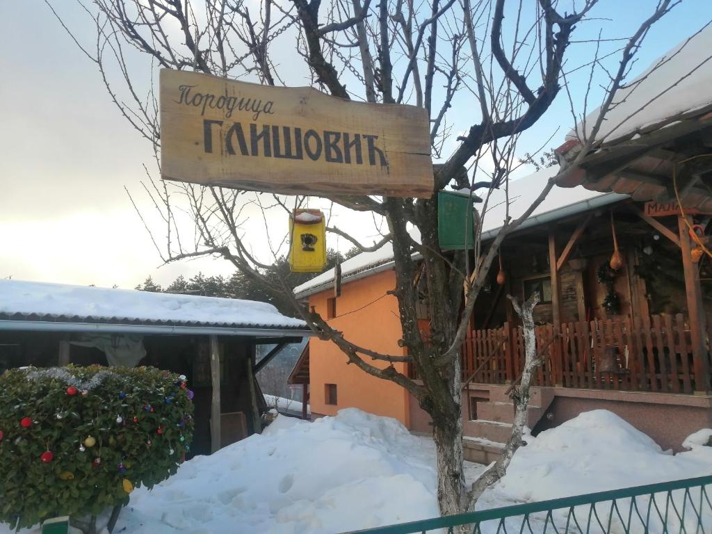 Ảnh 5