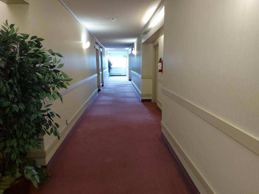 Tamarack Motor Inn
