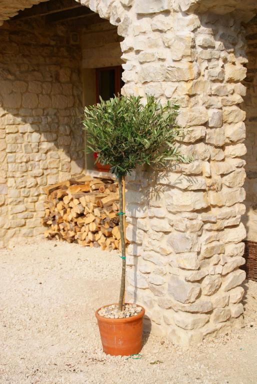 Chez Catharina Oldtimer B&B photo
