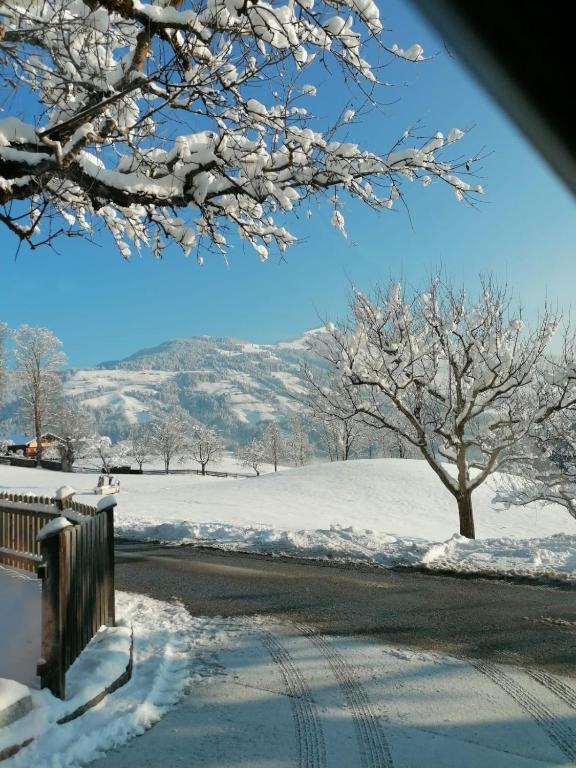Chalet Platzl - 2
