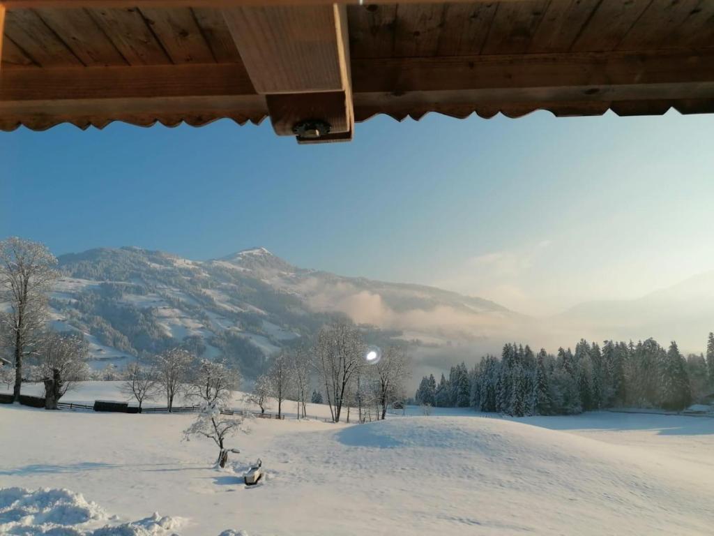 Chalet Platzl - 4