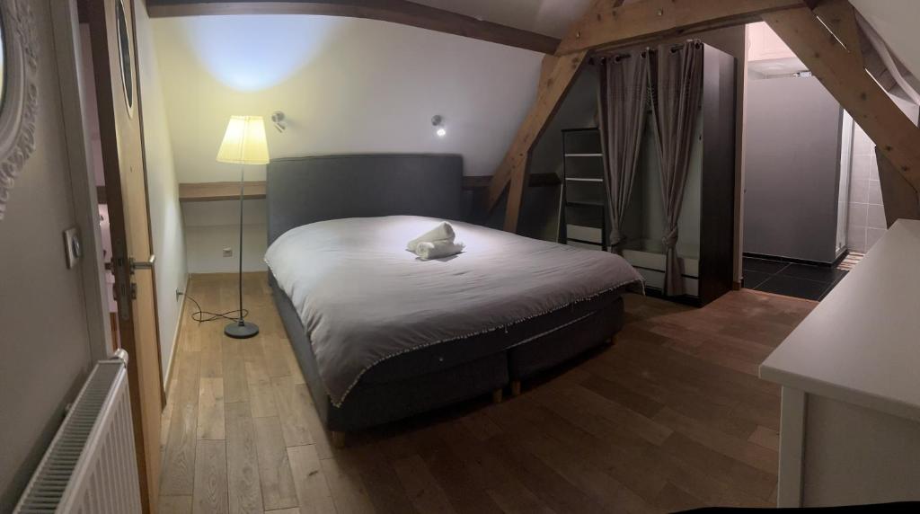 Appartement Atypique - 5