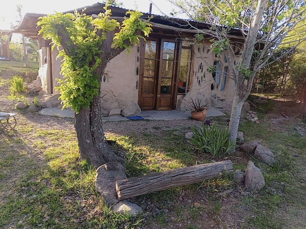 Casa Madre - 2