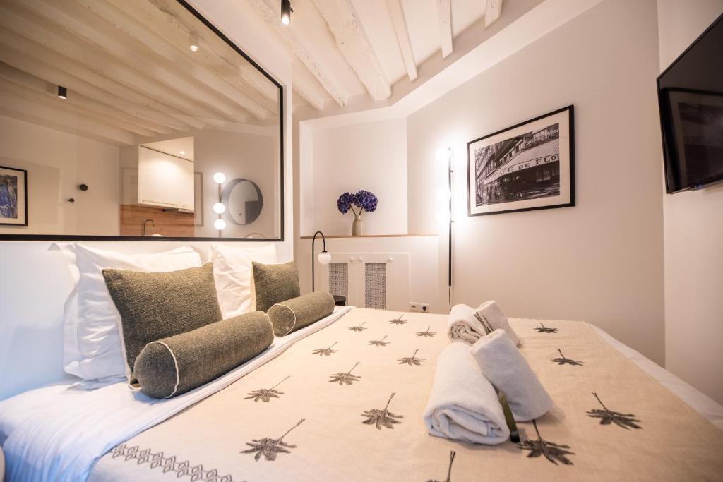 Cosy Nest in Saint Germain - 4