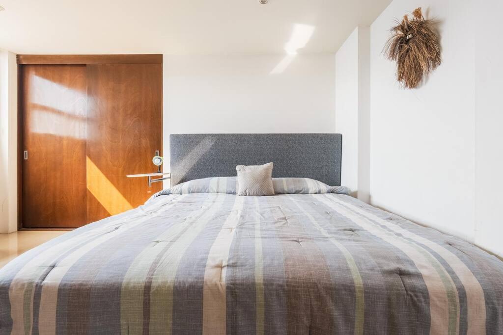 Nice and Comfortable suite with GYM in Polanco - 4