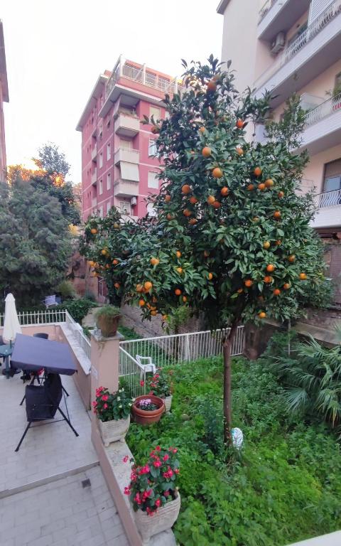 VATICAN GREEN GARDEN - 3