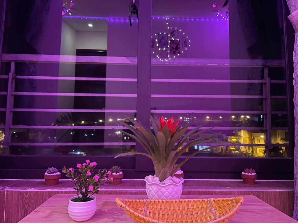 House Thị Đà Lạt