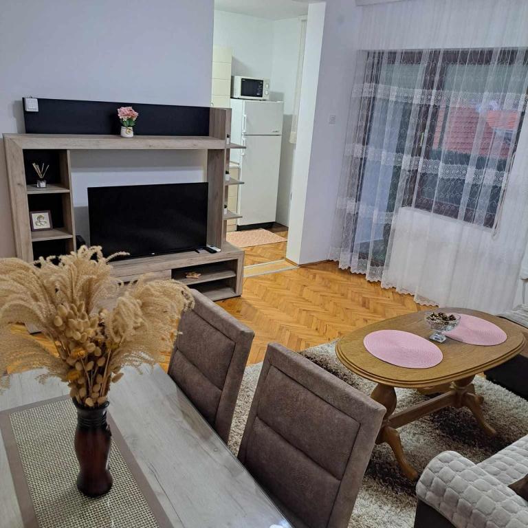 Apartman Magic, Soko Banja