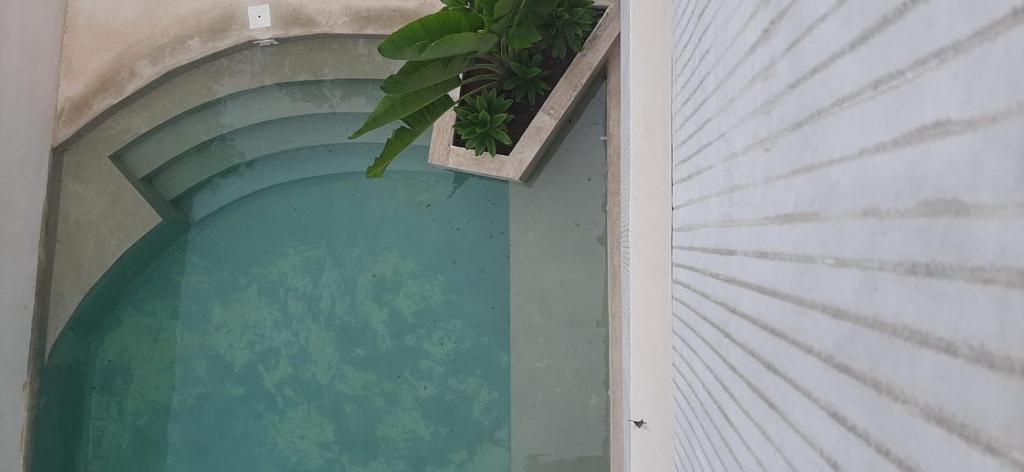 Arhat Tulum - 5
