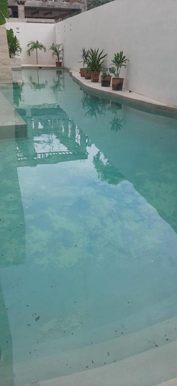 Arhat Tulum - 4