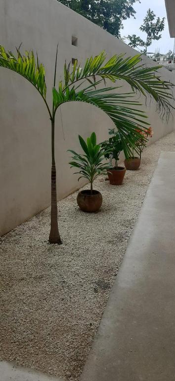 Arhat Tulum - 2