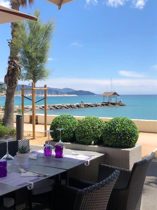 Magnifique appartement au Lavandou - 3