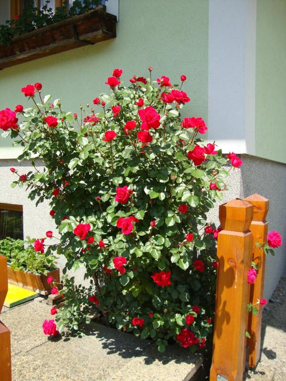 Gruberbauer Remsach - 5