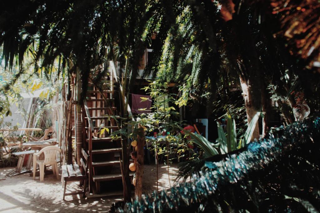 Garden Cabins