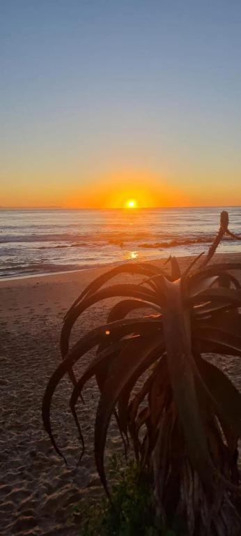 Supertubes Apartment, Jeffreys Bay