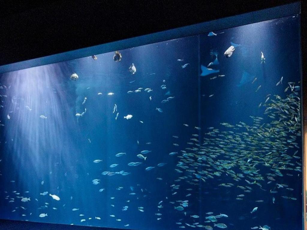 Nearby attraction